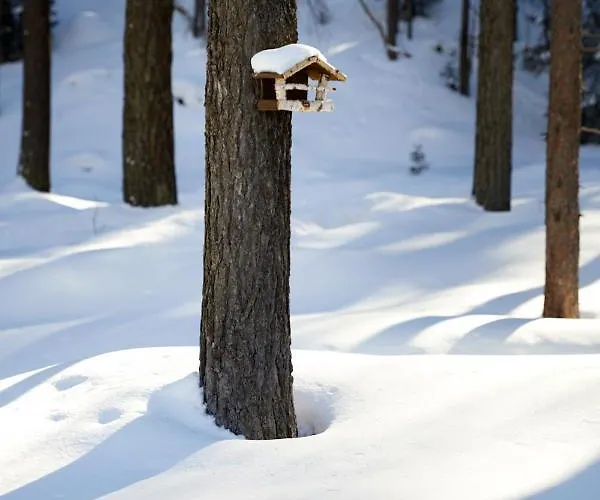 Chalet Horn Trailside Retreat Feriehus