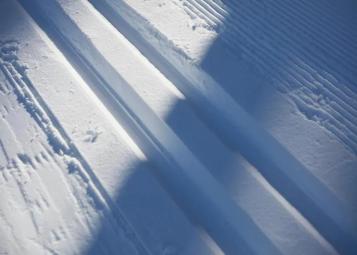 Feriehus Chalet Horn Trailside Retreat Davos