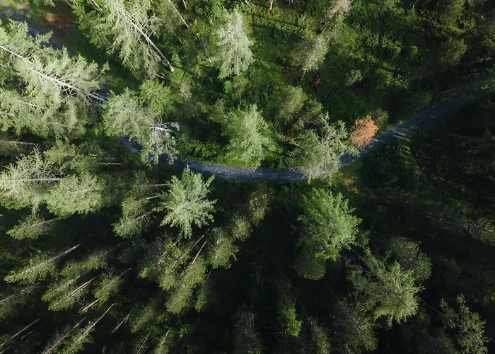 Chalet Horn Trailside Retreat Feriehus Davos